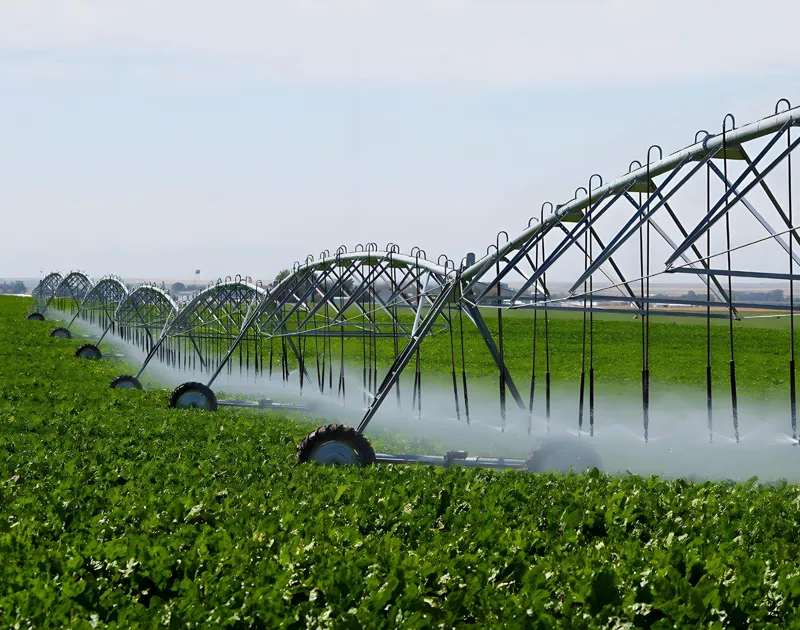 Sistema di irrigazione di micro-sprinkler