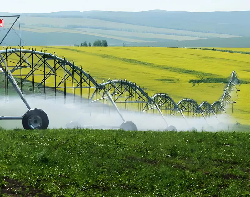 Sistema di filtri a rete per l’irrigazione agricola, adatto al vostro progetto