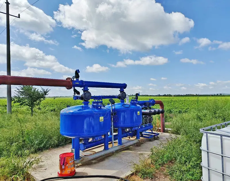 Progetto di coltivazione della patata della provincia di Hebei in Cina