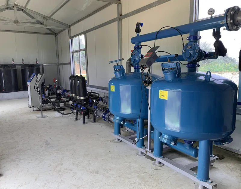 Progetto di coltivazione della ciliegia dello Shandong China